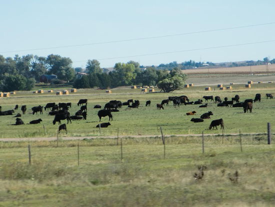 Wir mußten die Uhr eine Stunde vorstellen von Mountain auf Central-Time!
Ich kam mir vor wie die 'Bezaubernde Jeannie'! Mit einem Wimpernschlag war es statt 14:30 Uhr bereits 15:30 Uhr!