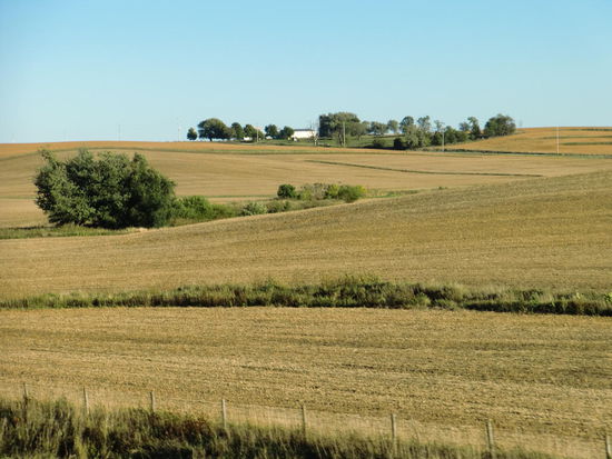 Auf der Fahrt nach Des Moines immer auf der Autobahn I-80 entlang!
Die Autobahn bleibt im schlechten Zustand, leider! Die Platten sind so verbunden daß Querrillen entstehen die einen unbeschreiblichen Lärm verursachen!
Wir haben bei Omaha Nebraska verlassen und sind jetzt in Iowa.
Die Gegend wird hügeliger und es wird fast ausschließlich Mais angebaut!