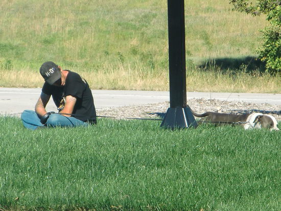 Was braucht ein Amerikaner unbedingt?
Genau - eine Kappe! Ohne Kappe kommt er sich wahrscheinlich 'nackt' vor. Jeans sind normal und T-Shirt ohne Aufruck, mit Aufdruck z.B. von der High-School o.ä. oder ein ganz schreiendes Muster.
Viele Kampfhunde haben sie - aber alle Hunde sind angeleint! Da sollte sich Deutschland ein Beispiel nehmen!
Aber eigentlich hätten die Amerikaner bestimmt alle einen Dackel - sie bekommen nur leider kein deutsches Fernsehen!
Denn dann wüßten sie von 'Hausmeister Krause', ' daß der Dackel eine Waffe ist'!!!
Foto auf einer Rest Area gemacht. Da man dort gut Wasser holen konnte wurde aus der Siesta eine Wascheinlag für Unterwäsche!