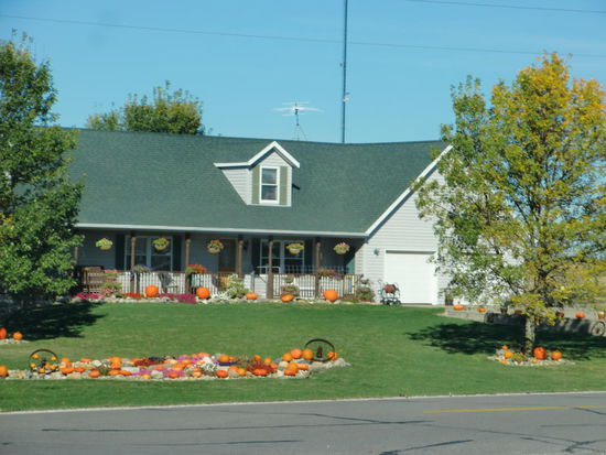 Ist das nicht eine einmalige Dekoration?
Was machen die mit all diesen Kürbissen!?