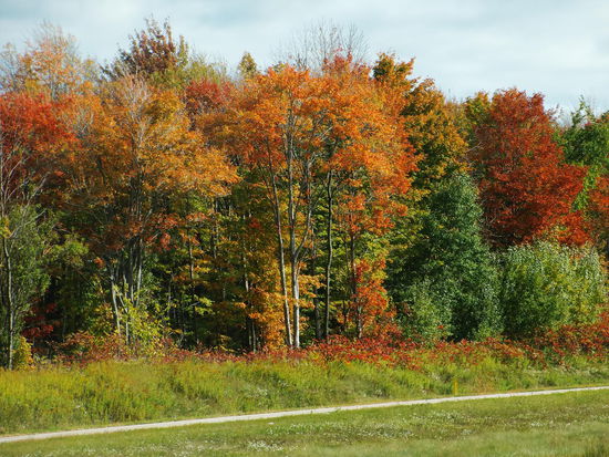 Erste Laubfärbung auf der Strecke von Erie nach Albany