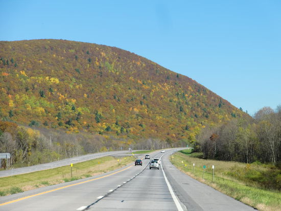 Autobahn kurz vor Albany
Die Laubfärbung war vielsprechend; hielt aber nicht was sie versprach! Das Laub fiel bereits,d.h. der Indian Summer neigte sich dem Ende zu.