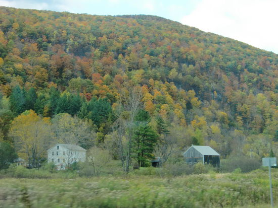 Leider kommen die Herbstfarben nicht richtig heraus da uns die Sonne im Stich ließ!