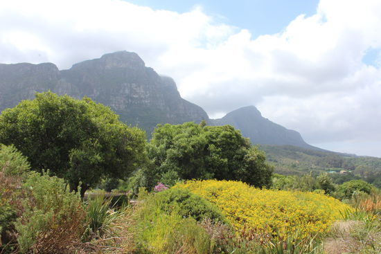 Schöne Aussichten im Kirstenbosch Botanical Garden
