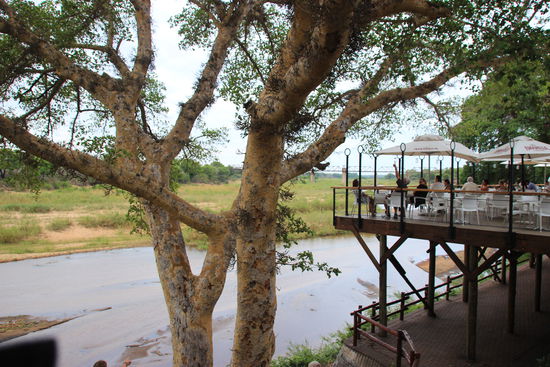 Die Restaurant-Terrasse des Skukuza Rest Camps