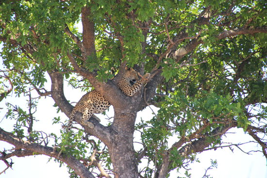 Wirklich gemütlich sieht das nicht aus 