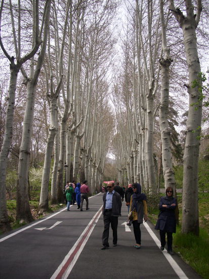 Parkszene in der Saad-Abad Palastanlage, Aufstieg zum Grünen Palast.