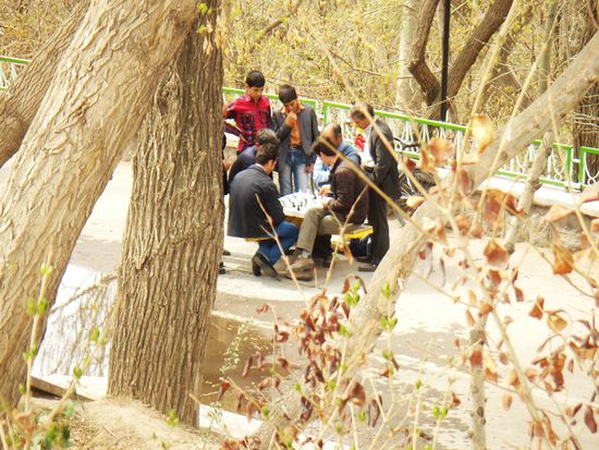 Schachspieler im El-Goli Park von Täbris.