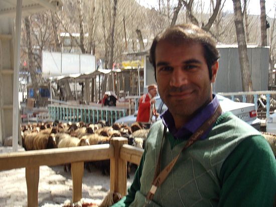 Mehdi im Teehaus mit vorbeiziehender Schafherde. Kandovan ist ein Felsendorf und liegt in der Provinz Ost-Aserbaidschan 55 km südlich von Tabriz.