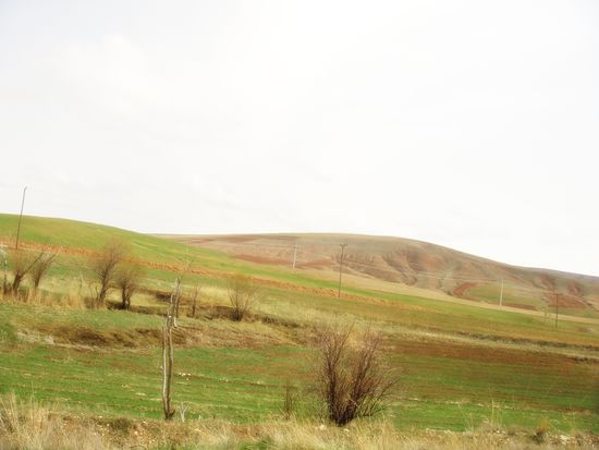 Westiranische Steppenlandschaft bei Qeydar.