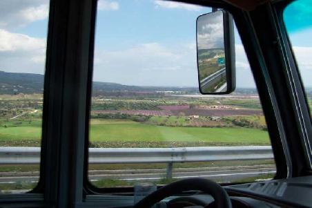 die Pfirsichbaumplantagen