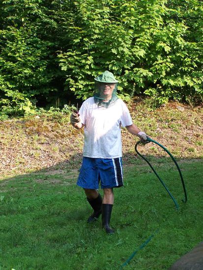 so kann man seinen Kopf gegen Mücken und andere Stechtiere schützen