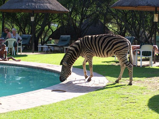 Gaeste am Swimmingpool