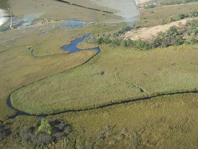 der Blick aus dem Flugzeug ueber das Okawango Delta