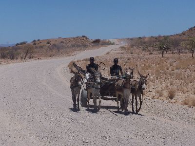 Eselkarren begenet uns auf der Schotterpiste