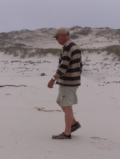 der Strandlaeufer in Lambert's Bay