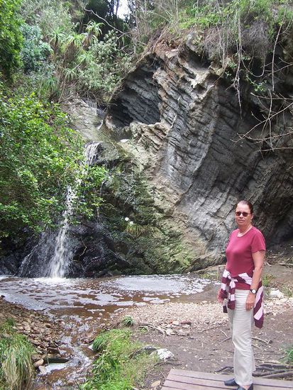 Wanderung im Regenwald im Tsitsikamma