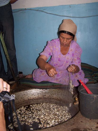 so werden die Kokons gekocht und die Seidenfaeden aufgewickelt