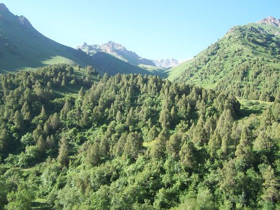 wir fahren zum Ala Ebel Pass