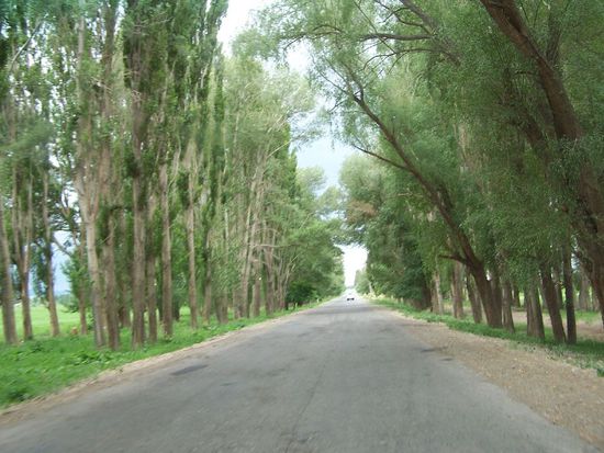 so fahren wir durch die baumbestandenen Strassen