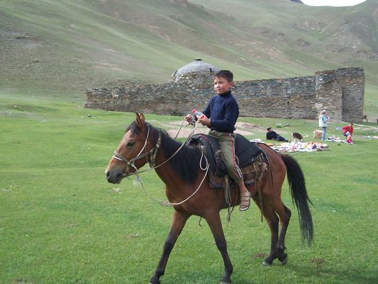und der kleine Hirte gratuliert auch