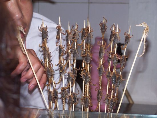 nach dem Stadtbummel gibt es die Leckereien