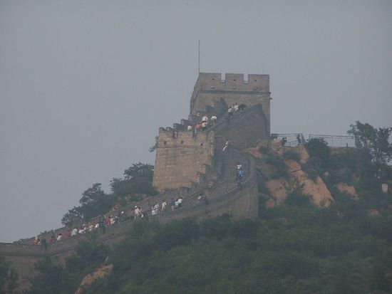 Ameisen krabbeln da rum