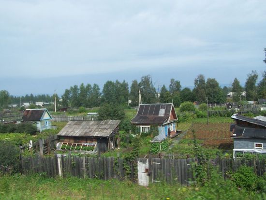 die kleinen Haeschen unterwegs in Sibirien