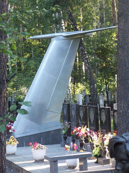 Opfer eines Flugzeugabsturzes?