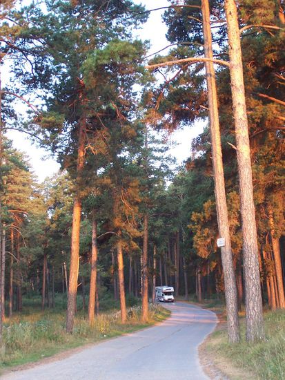 wir fahren in Miass ab und die Sonne scheint in den Wald