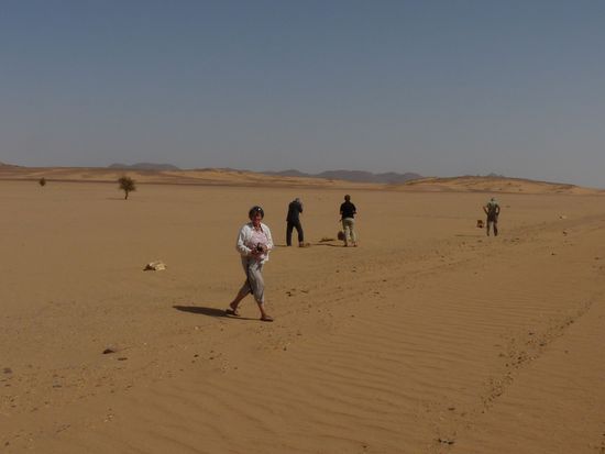 bei den Versteinerungen