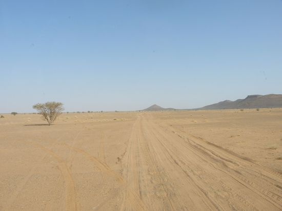 diee Piste sind wir durch die Wüste/Savanne gefahren