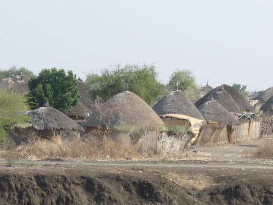 die Rundhuetten mit Binsen gedeckt