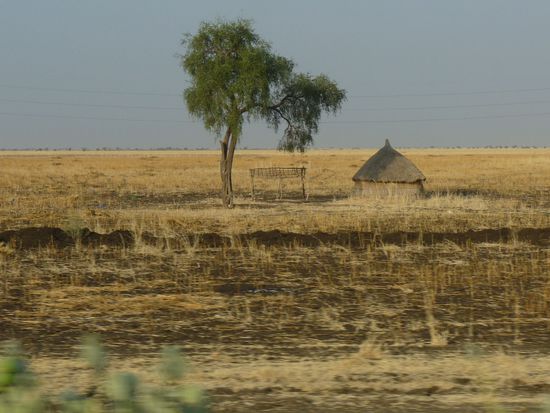 unser Uebernachtungsplatz bei Gedaref
