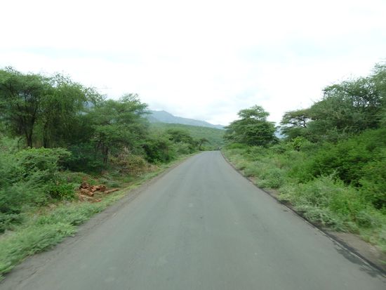 ab nun gibt es wieder Teerstrasse und Regenwald