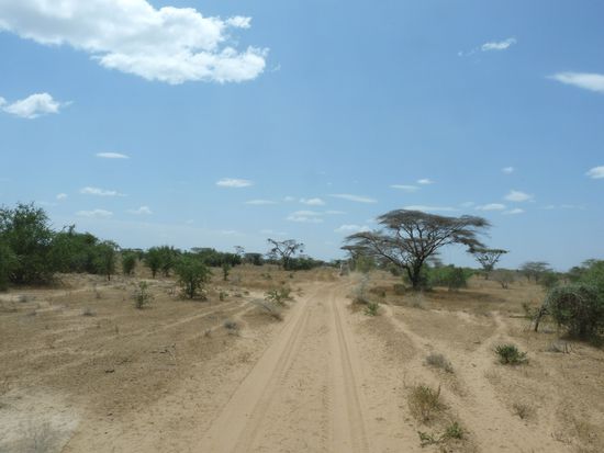 auf der Fahrt entlang des Turkanasees
