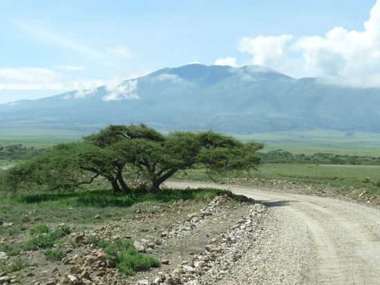der Ngorongoro