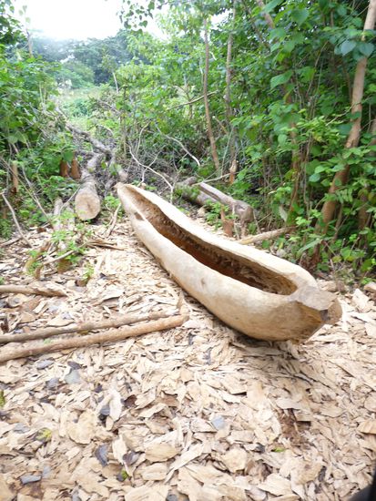 so werden Einbäume gebaut