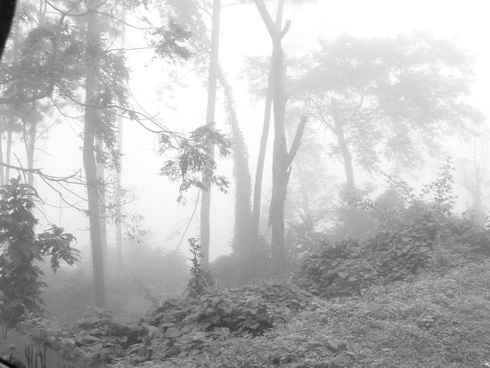 gespenstische Schatten