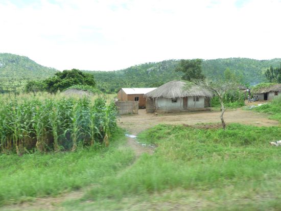 die kleinen Häuschen - wie ein Gesicht