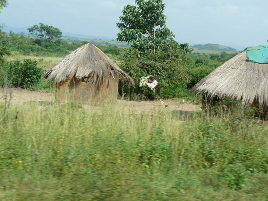die Eingeborenen/Huetten mit den Binsendaechern