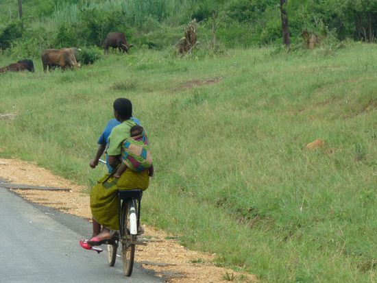 eine ganze Familie auf dem Fahrrad - Fahrradtaxi