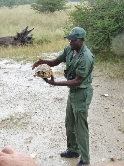 Lucas hat die schnelle Schildkroete gefangen