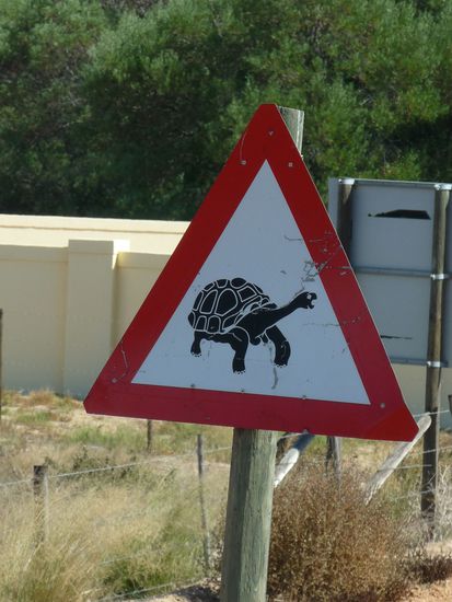 Achtung Schildkroeten