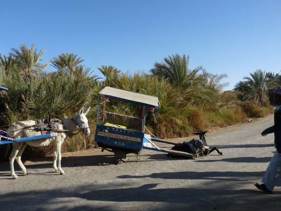 Der Esel  ist zusammengebrochen, weil die Kutsche das Rad verlor-dem Esel ist nichts geschehen