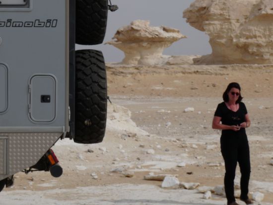 in der weissen Wueste