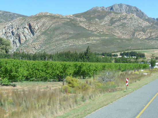 Wein und Obstanbau in Klein Karoo