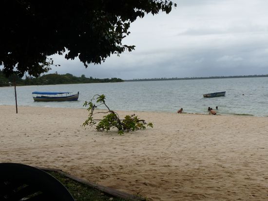 hier stehen wir am See