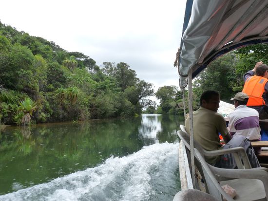 Fahrt auf dem Palanganes Kanal