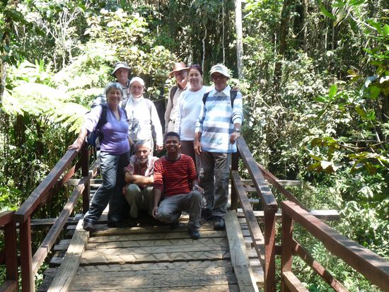 Andasibe - unsere kleine Gruppe im Regenwald - die Brücke hat gehalten